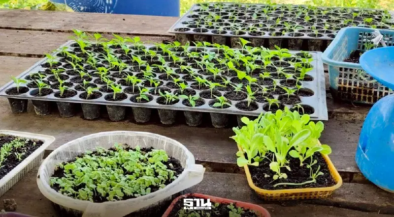 เกษตรอินทรีย์พุ่งเกินเป้า พื้นที่ทะลุ 2.2 ล้านไร่ สศก. เร่งเครื่องแผนใหม่ 2571–2575 เกษตรอินทรีย์พุ่งเกินเป้า พื้นที่ทะลุ 2.2 ล้านไร่ สศก. เร่งเครื่องแผนใหม่ 2571–2575