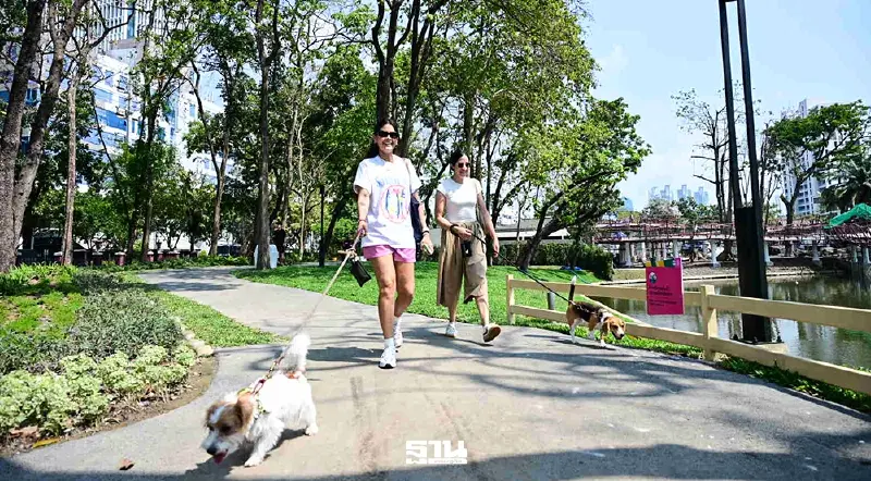 คนรักน้องหมา เฮ เปิดแล้ว 'สวน Lumpini Dog Park' แห่งที่ 9 ใจกลางกทม.