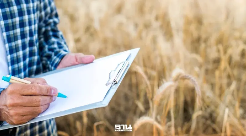 ทีดีอาร์ไอ ชี้ประกันราคา–แจก ส.ป.ก. บิดเบือนตลาด เอื้อผู้มีอิทธิพล