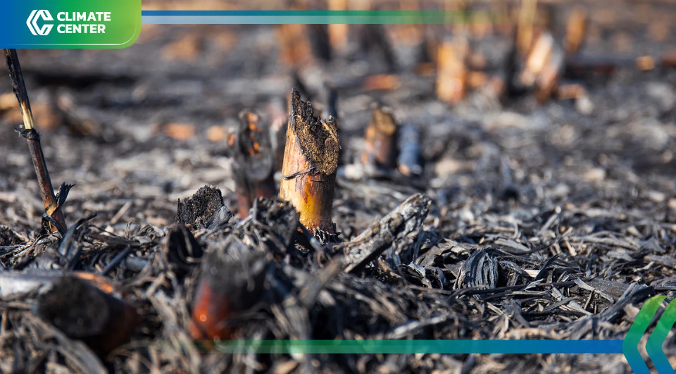 แก้ปัญหาฝุ่น PM 2.5 ให้ถูกจุด ต้องสร้างระบบที่ดี ในภาคการเกษตร