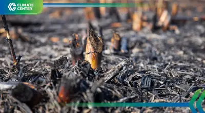 แก้ปัญหาฝุ่น PM 2.5 ให้ถูกจุด ต้องสร้างระบบที่ดี ในภาคการเกษตร