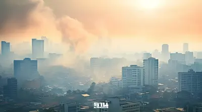 อัปเดตค่าฝุ่น pm 2.5 วันนี้ เช็ก 12 อันดับค่าฝุ่นสูงสุดเขตไหนบ้างเช็กที่นี่