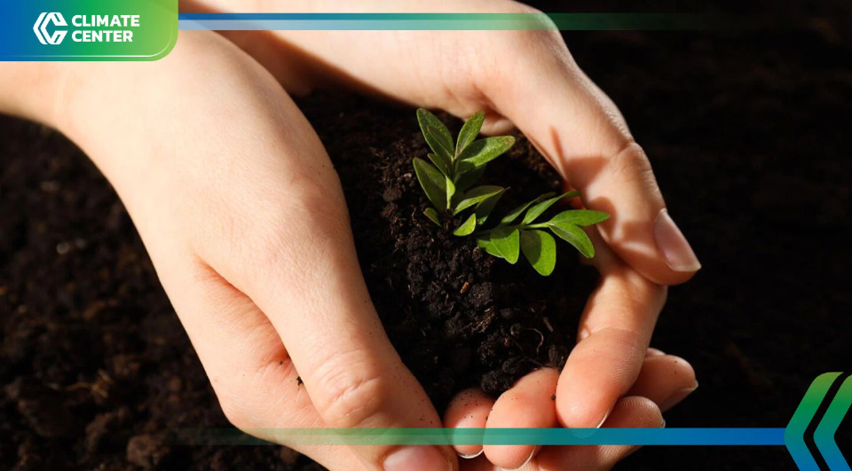 โครงการเปลี่ยนขยะเป็นต้นไม้  กทม. แจกฟรี 5 ก.พ. นี้ เช็กพิกัดที่นี่