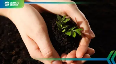 โครงการเปลี่ยนขยะเป็นต้นไม้  กทม. แจกฟรี 5 ก.พ. นี้ เช็กพิกัดที่นี่