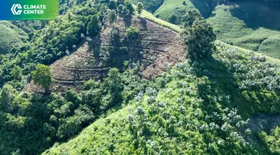 วิส อะคาเดมี ดัน ‘น่าน’ ต้นแบบฟื้นป่าต้นน้ำ ควบคู่รายได้ชุมชน