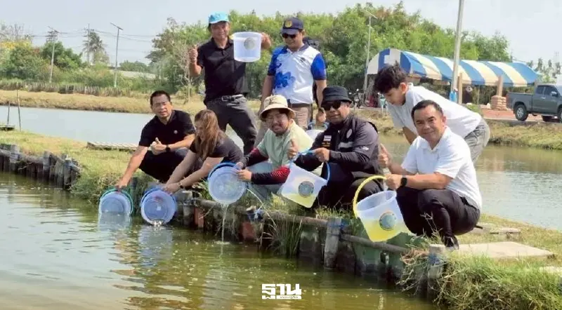 สมุทรปราการพลิกโจทย์ “ปลาหมอคางดำ” เป็นโอกาสชุมชน ใช้เลี้ยงปลากะพง สมุทรปราการพลิกโจทย์ “ปลาหมอคางดำ” เป็นโอกาสชุมชน ใช้เลี้ยงปลากะพง