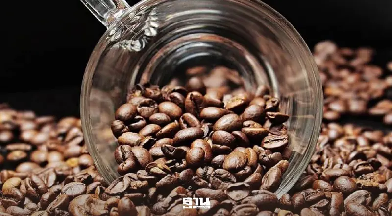 ตลาดกาแฟไทยปี 69 เข้าสู่ยุค "คัดออก" ใครไม่แกร่ง ไม่ได้ไปต่อ! ตลาดกาแฟไทยปี 69 เข้าสู่ยุค "คัดออก" ใครไม่แกร่ง ไม่ได้ไปต่อ!