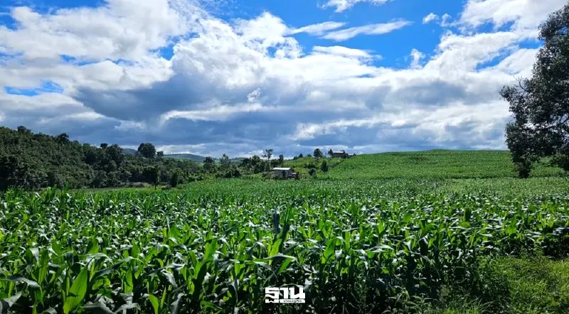 ซีพีดัน Traceability เต็มระบบห่วงโซ่ ปั้นเกษตรคาร์บอนต่ำ ยกระดับสู่ตลาดโลก