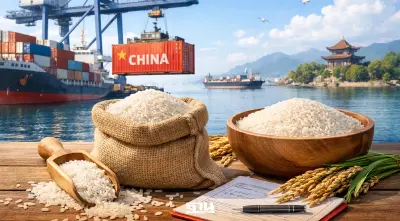 ข้าวไทยลุย G2G จีน 4 หมื่นตัน กระจาย 30 บริษัท สู้ตู้เรือตึง–ต้นทุนพุ่ง