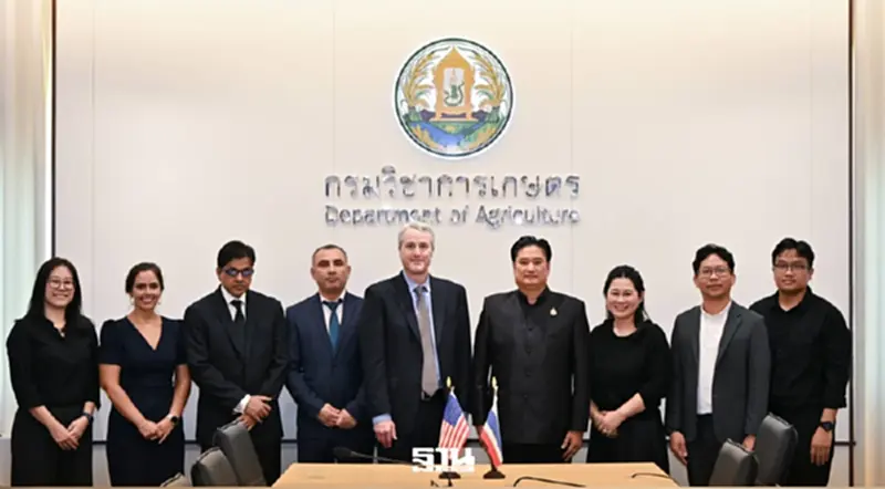 ดันสับปะรดไทยบุกสหรัฐ ไม่ต้องฉายรังสี ลุ้นปิดดีลไตรมาส 2 เพิ่มมูลค่าส่งออก ดันสับปะรดไทยบุกสหรัฐ ไม่ต้องฉายรังสี ลุ้นปิดดีลไตรมาส 2 เพิ่มมูลค่าส่งออก