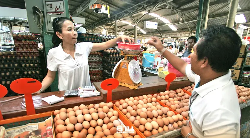 ด่วน ! เครือข่ายสหกรณ์ผู้เลี้ยงไก่ไข่ แจ้งปรับราคาไข่ไก่ขึ้น แผงละ 6 บาท มีผล 16 มี.ค.นี้ ด่วน ! เครือข่ายสหกรณ์ผู้เลี้ยงไก่ไข่ แจ้งปรับราคาไข่ไก่ขึ้น แผงละ 6 บาท มีผล 16 มี.ค.นี้