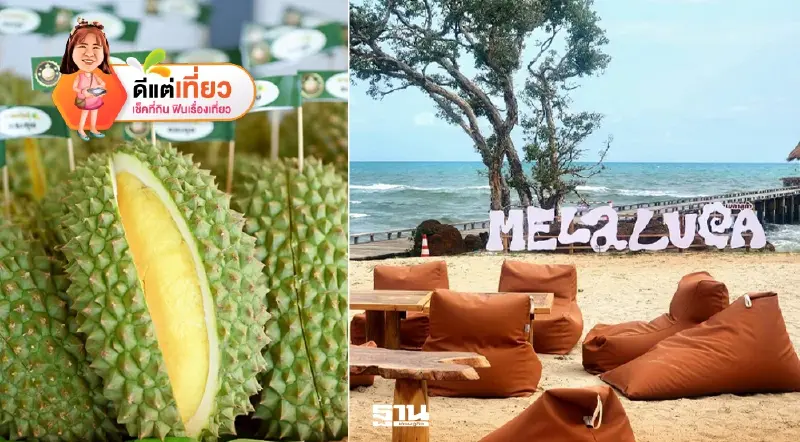 เปิด 7 พิกัด เที่ยวระยอง คาเฟ่ ร้านอาหารเด็ด GO Local Eat Local Go Hotel บุฟเฟ่ต์ทุเรียน ปังๆ เปิด 7 พิกัด เที่ยวระยอง คาเฟ่ ร้านอาหารเด็ด GO Local Eat Local Go Hotel บุฟเฟ่ต์ทุเรียน ปังๆ