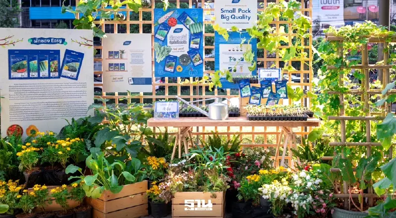 ผักซองอีซี่ เมล็ดพันธุ์คุณภาพสูง งอกดี โตไว เพื่อคนปลูกยุคใหม่ ผักซองอีซี่ เมล็ดพันธุ์คุณภาพสูง งอกดี โตไว เพื่อคนปลูกยุคใหม่