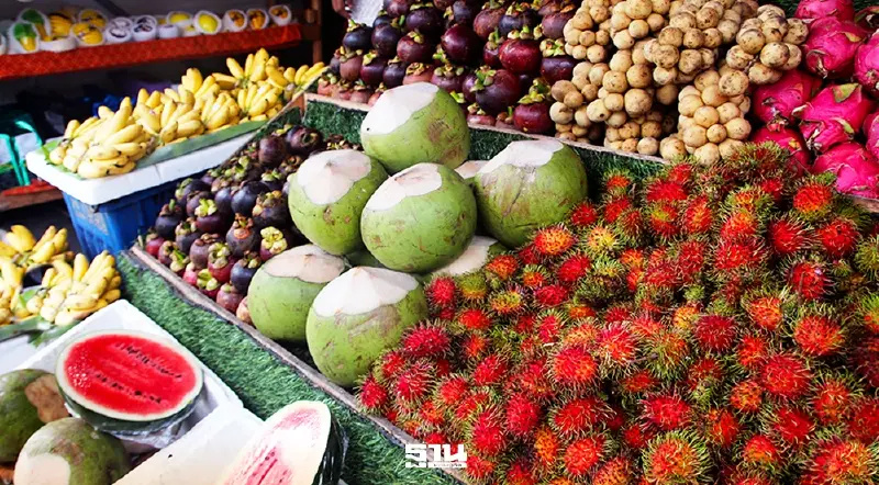 พาณิชย์ ออก 8 มาตรการ ดูดซับผลไม้ 1.1 ล้านตัน บริโภคในประเทศ-คุมล้งกดราคา