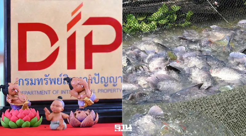 กรมทรัพย์สินฯ ดัน GI ไทย ตุ๊กตาชาววัง-ปลาแรด เพิ่มมูลค่าสร้างรายได้ชุมชน