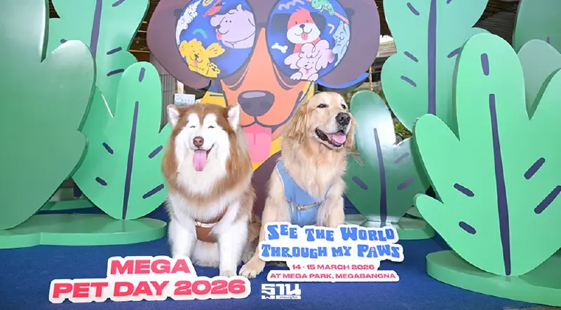 ศึกชิงตลาด Pet Parent เมกาบางนาจัด 'MEGA PET DAY 2026' เอาใจทาสหมา-แมว