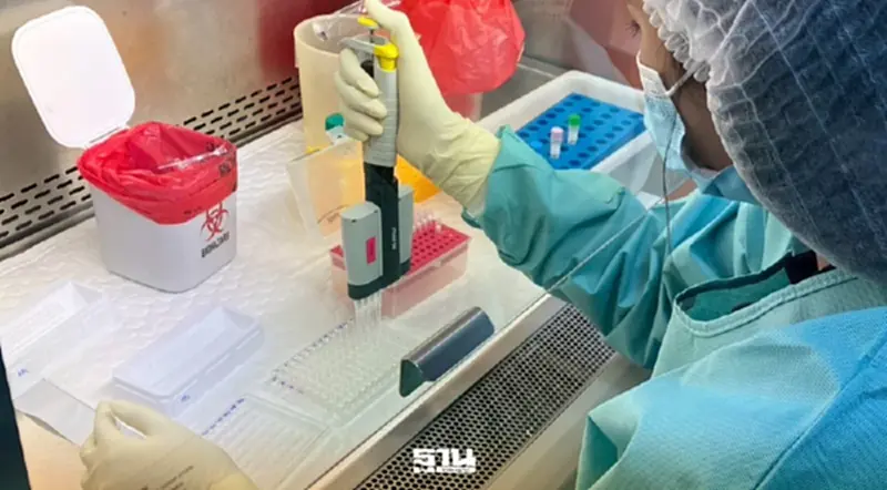 รู้จัก ‘โควิด-19 สายพันธุ์ BA.3.2’ ที่สามารถหลบหลีกภูมิคุ้มกันได้ รู้จัก ‘โควิด-19 สายพันธุ์ BA.3.2’ ที่สามารถหลบหลีกภูมิคุ้มกันได้