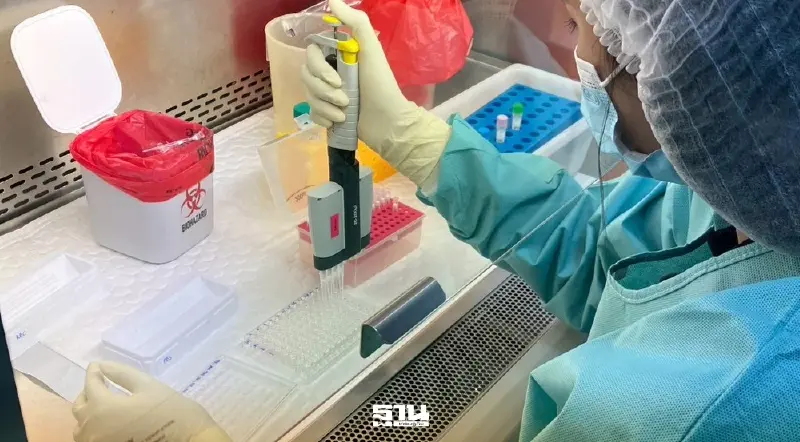 รู้จัก ‘โควิด-19 สายพันธุ์ BA.3.2’ ที่สามารถหลบหลีกภูมิคุ้มกันได้ รู้จัก ‘โควิด-19 สายพันธุ์ BA.3.2’ ที่สามารถหลบหลีกภูมิคุ้มกันได้