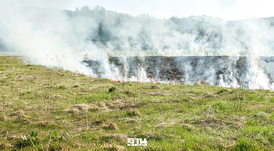 ศกพ. เตือน ฝุ่นยังคงสูงบริเวณภาคเหนือและอีสานระดับอันตราย  ห้ามเผาทุกชนิด
