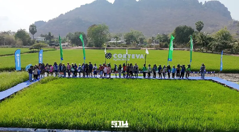 คอร์เทวาเปิดตัว “ลอแยนต์” สู้วัชพืชดื้อยาในนาข้าว ชูเทคโนโลยีใหม่ลดต้นทุน–ยกระดับผลผลิต