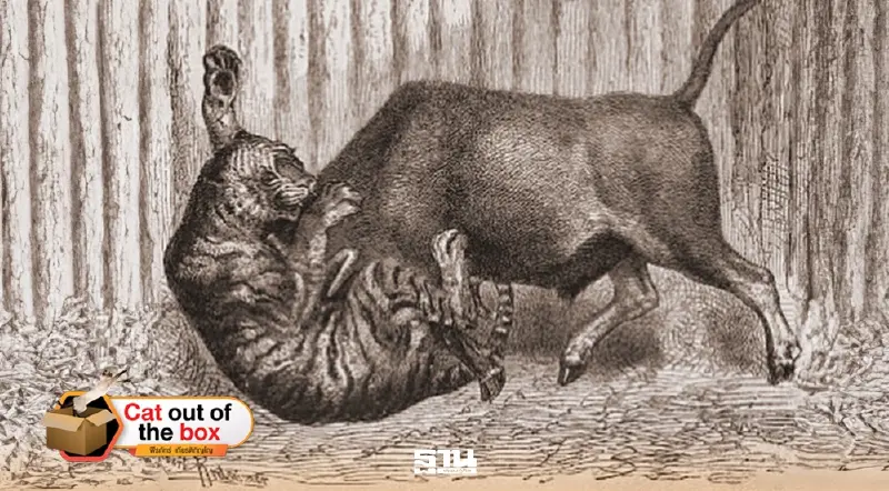 ศิลปะเสือ-สมิง 