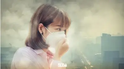 เชียงใหม่-ภาคเหนือ อ่วม! ฝุ่น PM2.5 พุ่งระดับสีส้ม 7 วันรวด เช็กพื้นที่เสี่ยงด่วน!