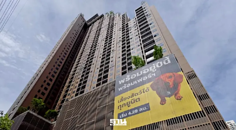Pet-Family Condo โตสวนเศรษฐกิจ ‘เมเจอร์’โอนทะลุ 1,000 ล้านรับต้นปี 69 Pet-Family Condo โตสวนเศรษฐกิจ ‘เมเจอร์’โอนทะลุ 1,000 ล้านรับต้นปี 69
