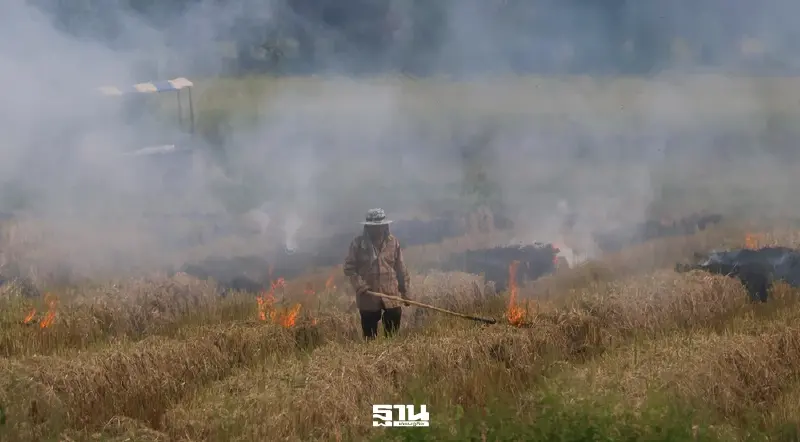 ศกพ. เตือน ฝุ่นขยับสูงขึ้นภาคอีสาน ! ควบคุมการเผาทุกชนิด