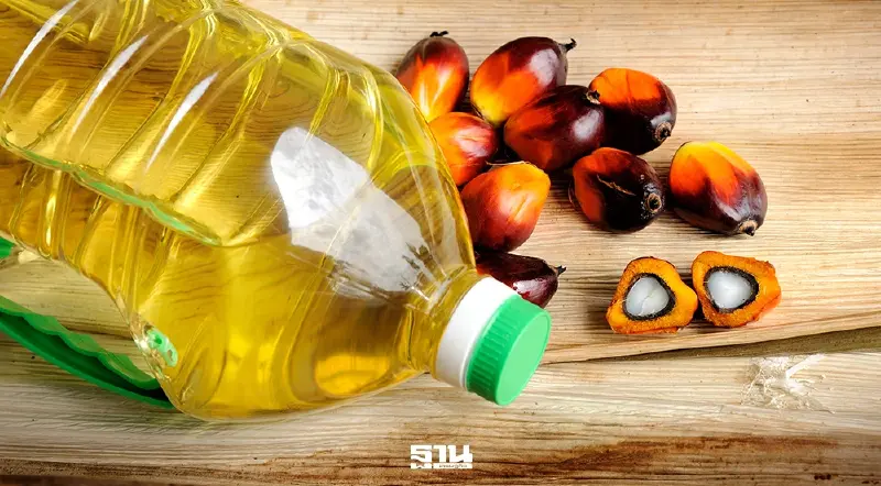 พาณิชย์ ยันสต๊อกปาล์มเพียงพอผลิตน้ำมัน B7 ไม่ดันราคาน้ำมันพืชพุ่ง