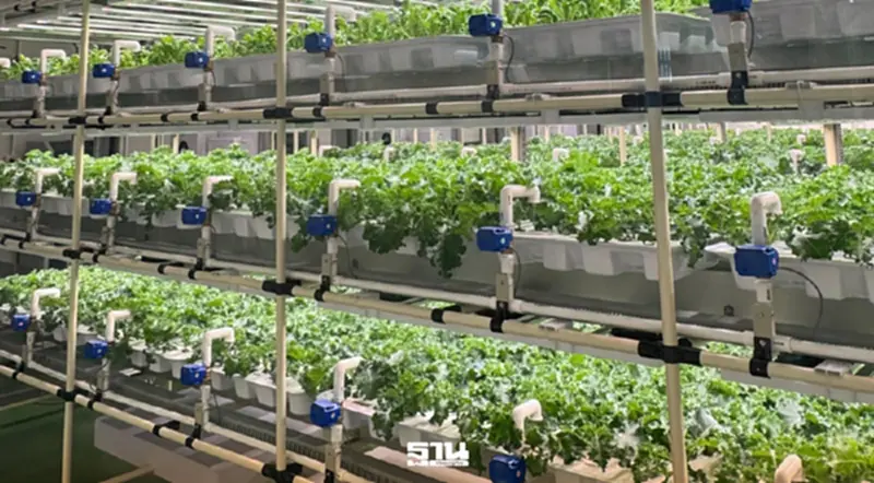 ‘ซีวิค อโกรเทค’ เปิด Plant Factory 2 รับเทรนด์เกษตรอัจฉริยะ ‘ซีวิค อโกรเทค’ เปิด Plant Factory 2 รับเทรนด์เกษตรอัจฉริยะ
