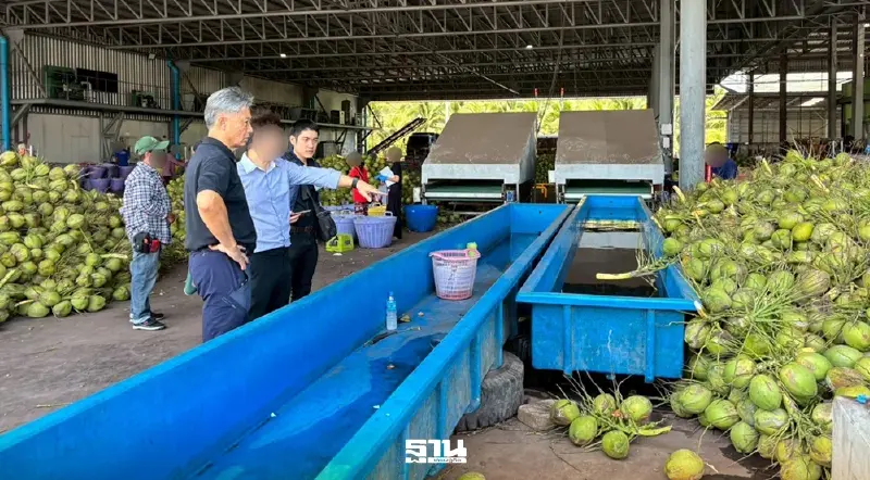 กขค. ลงพื้นที่ราชบุรี ลุยตรวจค้า “มะพร้าว” พบปมร้อน ฮั้วราคา-ใช้อำนาจเหนือตลาด