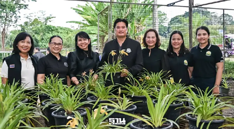 กรมวิชาการเกษตร ชู “รองเท้านารีเหลืองกระบี่” ผสานสมุนไพร สร้างแลนด์มาร์กแห่งใหม่ กรมวิชาการเกษตร ชู “รองเท้านารีเหลืองกระบี่” ผสานสมุนไพร สร้างแลนด์มาร์กแห่งใหม่