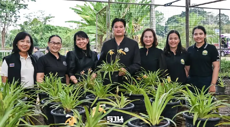 กรมวิชาการเกษตร ชู “รองเท้านารีเหลืองกระบี่” ผสานสมุนไพร สร้างแลนด์มาร์กแห่งใหม่