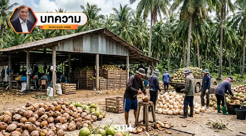 “ล้ง”มะพร้าว นอมินี กับโครงสร้างการค้าผลไม้ไทย