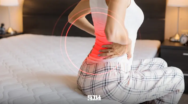 นวัตกรรม “ที่นอน Mr.Big” ตอบโจทย์คนปวดหลัง ปัญหาไลฟ์สไตล์คนยุคดิจิทัล