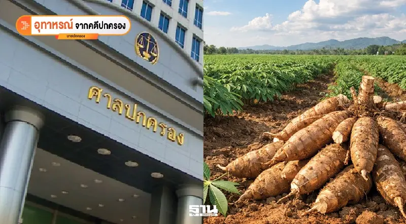 เมื่อประกาศแสดงราคามันสำปะหลังไม่ชอบ เหตุไฉนไม่ละเมิด?