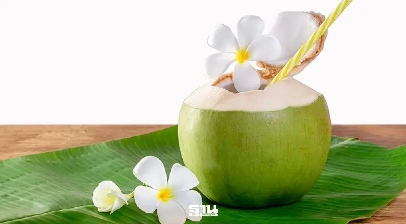 กรมส่งเสริมสหกรณ์ ดัดหลังล้งจีน ดัน “ล้งกลางมะพร้าวน้ำหอม” ปลดแอกต่างชาติเอาเปรียบ กรมส่งเสริมสหกรณ์ ดัดหลังล้งจีน ดัน “ล้งกลางมะพร้าวน้ำหอม” ปลดแอกต่างชาติเอาเปรียบ