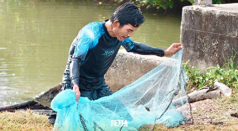 ประมงนครศรีธรรมราชลงพื้นที่ขนาบนาก สำรวจปลาต่างถิ่นพบหลากหลายชนิด ประมงนครศรีธรรมราชลงพื้นที่ขนาบนาก สำรวจปลาต่างถิ่นพบหลากหลายชนิด