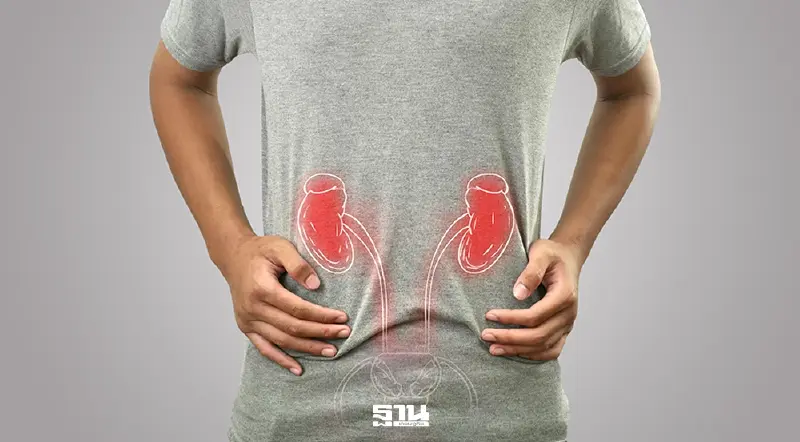 ไตวายเฉียบพลัน อันตรายใกล้ตัว เช็ก 5 สัญญาณเตือนต้องพบแพทย์ทันที