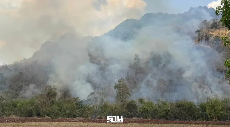 ฝุ่นภาคเหนือพุ่งต่อเนื่อง ขอความร่วมมืองดเผาเด็ดขาด