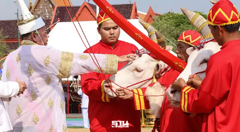 ลงทะเบียนรับเมล็ดพันธุ์ข้าว 'วันพืชมงคล'ต้องทำอย่างไร? ลงทะเบียนรับเมล็ดพันธุ์ข้าว 'วันพืชมงคล'ต้องทำอย่างไร?
