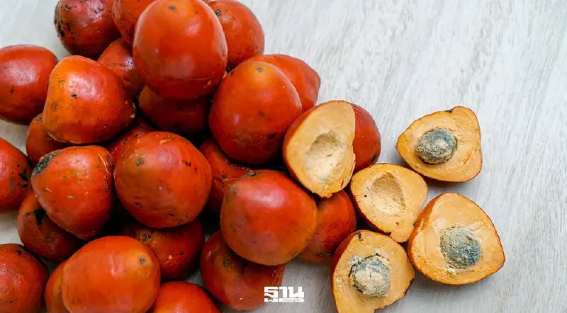 ชาวสวนปาล์ม บุกพาณิชย์ จี้ปลดล็อกส่งออกทำราคาดิ่ง สูญเงินวันละ 120 ล้าน