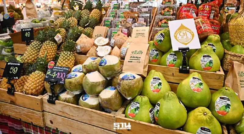 ท็อปส์ ผนึกกรมทรัพย์สินทางปัญญา ยกระดับสินค้า GI สู่โมเดิร์นเทรด ท็อปส์ ผนึกกรมทรัพย์สินทางปัญญา ยกระดับสินค้า GI สู่โมเดิร์นเทรด