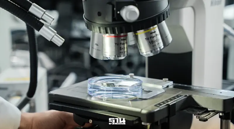 เอสซีลอร์ลูซอตติกา ปักหมุดไทย เปิดศูนย์ R&D ดันนวัตกรรมเลนส์–เทคโนโลยีอนาคต เอสซีลอร์ลูซอตติกา ปักหมุดไทย เปิดศูนย์ R&D ดันนวัตกรรมเลนส์–เทคโนโลยีอนาคต