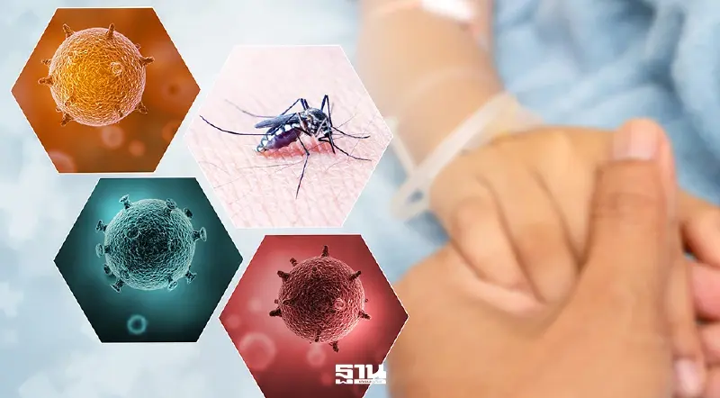 กรมควบคุมโรค เฝ้าระวัง ไข้เลือดออก ระบาดรับเทศกาลสงกรานต์ 2569 