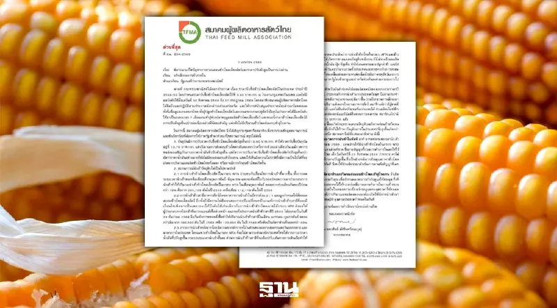 แฉไลน์กักตุนข้าวโพด ดันราคา-ของขาด สมาคมฯจี้รัฐเชือดคนกลาง-เปิดนำเข้า