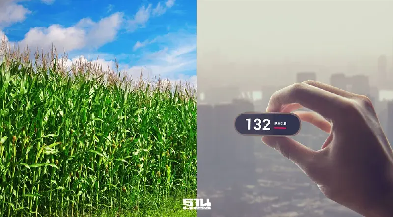 แก้ปัญหาฝุ่น PM2.5 ให้ตรงจุด อย่าหยุดมองแค่ 'ภาคเกษตร' แก้ปัญหาฝุ่น PM2.5 ให้ตรงจุด อย่าหยุดมองแค่ 'ภาคเกษตร'