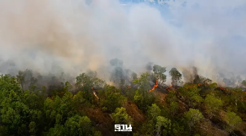 อย่าหาทำ! จุดไฟเผาป่าโทษหนักคุก 20 ปี ปรับสูงสุด 2 ล้านบาท