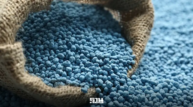 พาณิชย์ จ่อประกาศราคาปุ๋ย เอกชนหวั่นขาดตลาดราคาพุ่ง 900 ดอลลาร์/ตัน