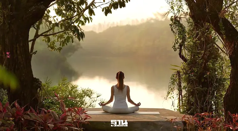 ททท.ปั้ม Wellness Tourism 4 หมื่นล้านดอลลาร์สหรัฐ เปิดเวทีเจรจาธุรกิจ Health & Wellness ททท.ปั้ม Wellness Tourism 4 หมื่นล้านดอลลาร์สหรัฐ เปิดเวทีเจรจาธุรกิจ Health & Wellness